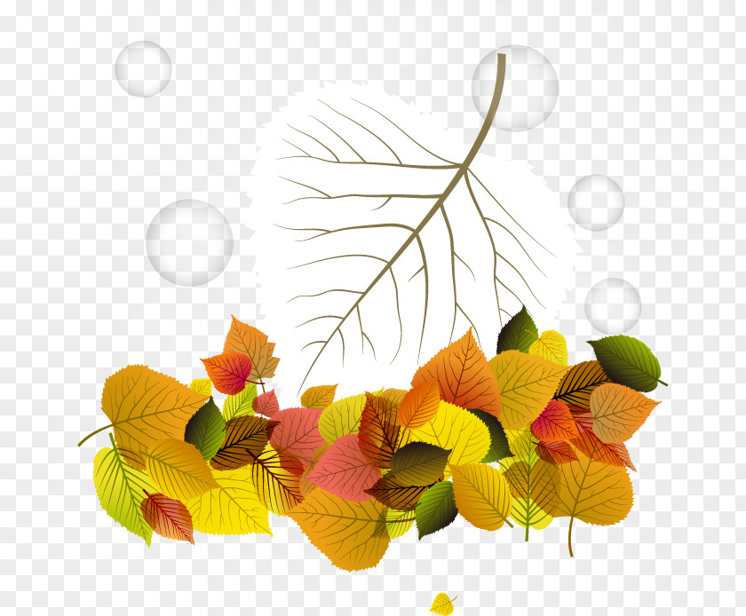 Vector Autumn Leaves And Tree Trunk Leaf PNG