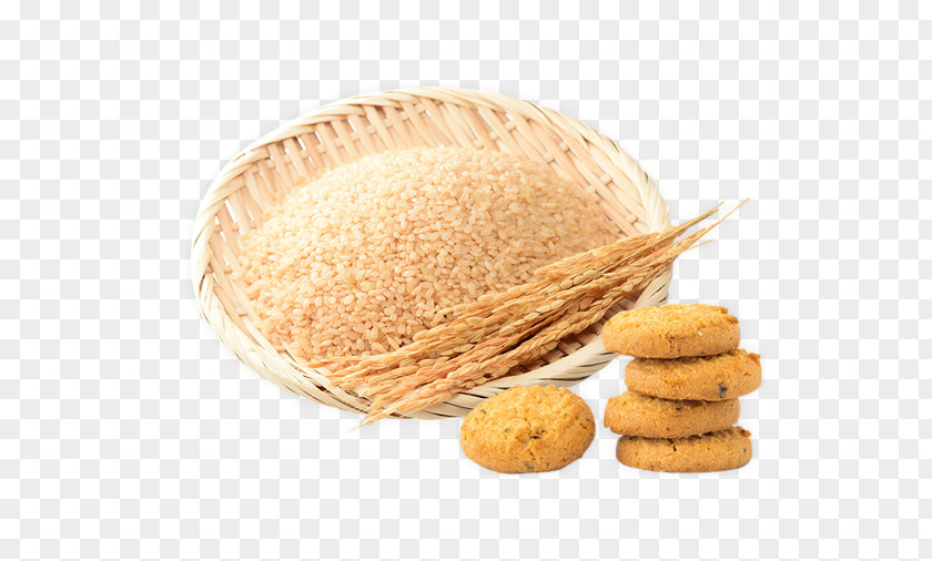 Biscuit Cookie M Whole Grain Flavor PNG