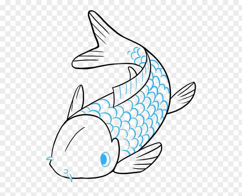 Fish Butterfly Koi Drawing Clip Art Image PNG