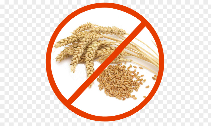 Wheat Indore Seed Nutrition Celiac Disease PNG