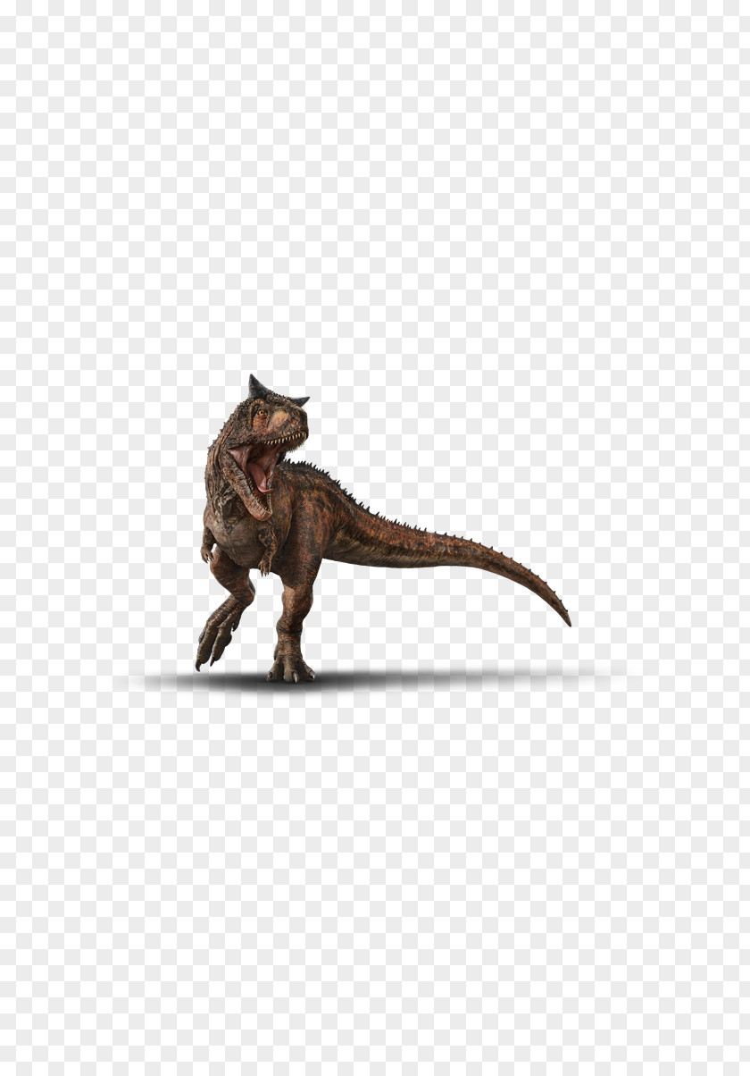 Carnotaurus Jurassic World Velociraptor Dinosaur Tyrannosaurus Indoraptor PNG