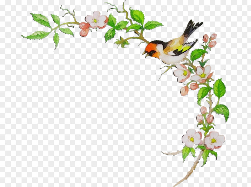 Blossom Perching Bird Watercolor Flower Background PNG