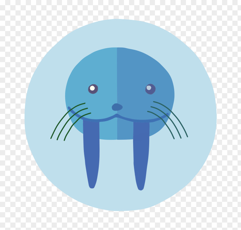 Dolphin Cartoon Turquoise Circle PNG