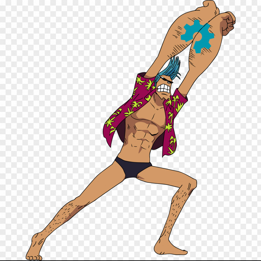 One Piece Franky Nami Monkey D. Luffy Tony Chopper Piece: Pirate Warriors PNG