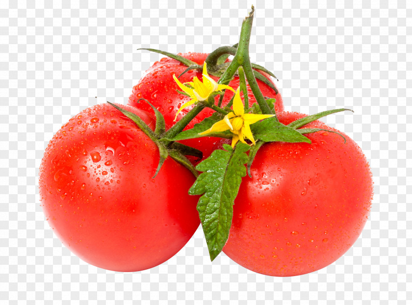 Red Tomatoes Tomato Leaf Stock Photography Vegetable White PNG