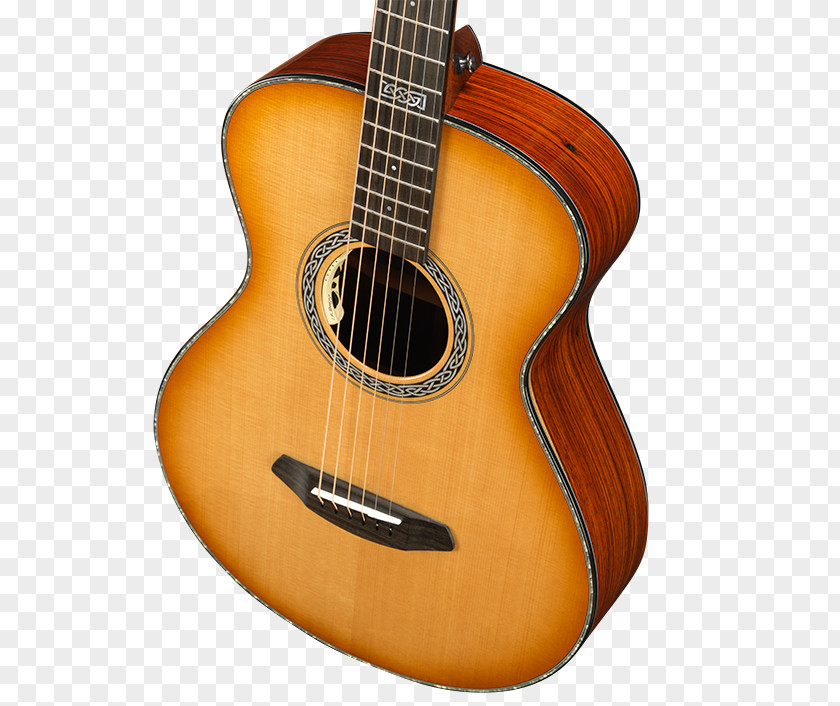 Acoustic Guitar Brands Steel-string Acoustic-electric Bass PNG