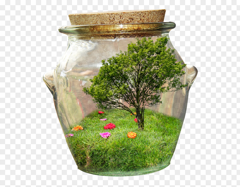 Bottle Jar Clip Art Image PNG