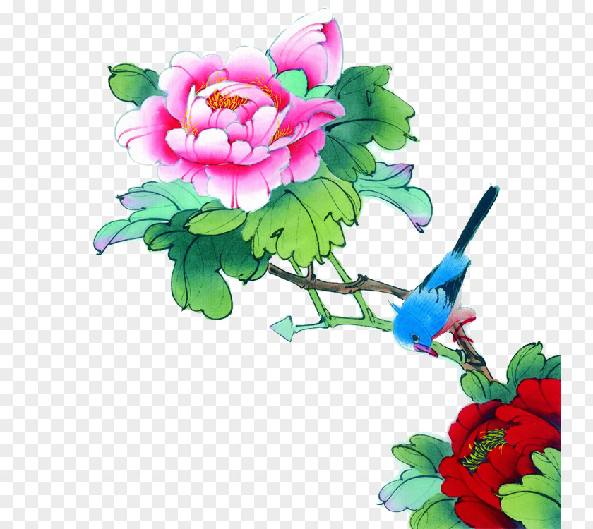 Peony China Chinese Painting Bird-and-flower Illustration PNG