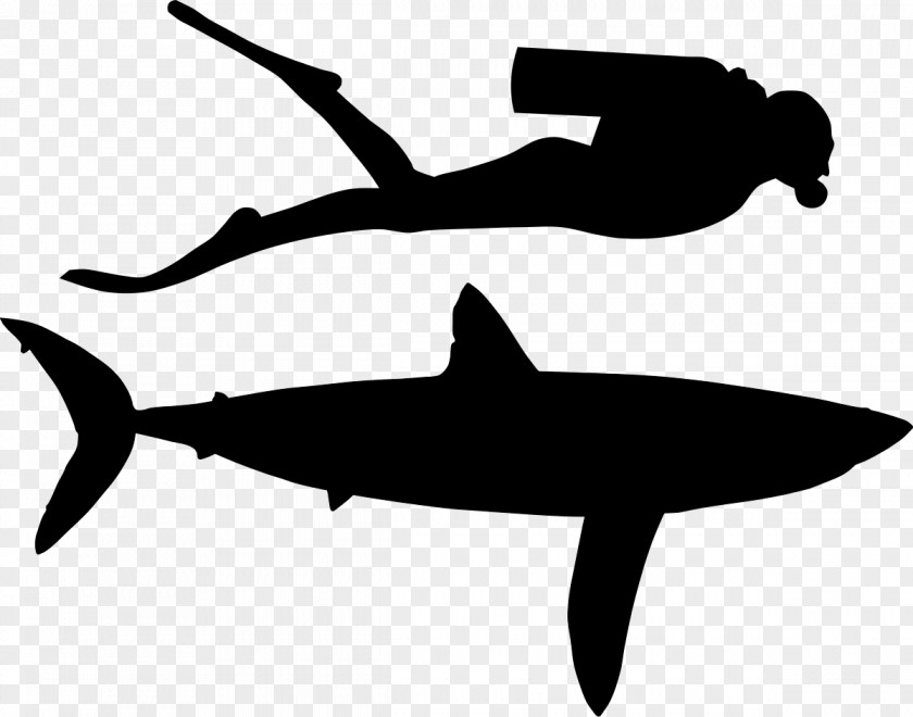 Shark Clip Art Fauna Line Silhouette PNG