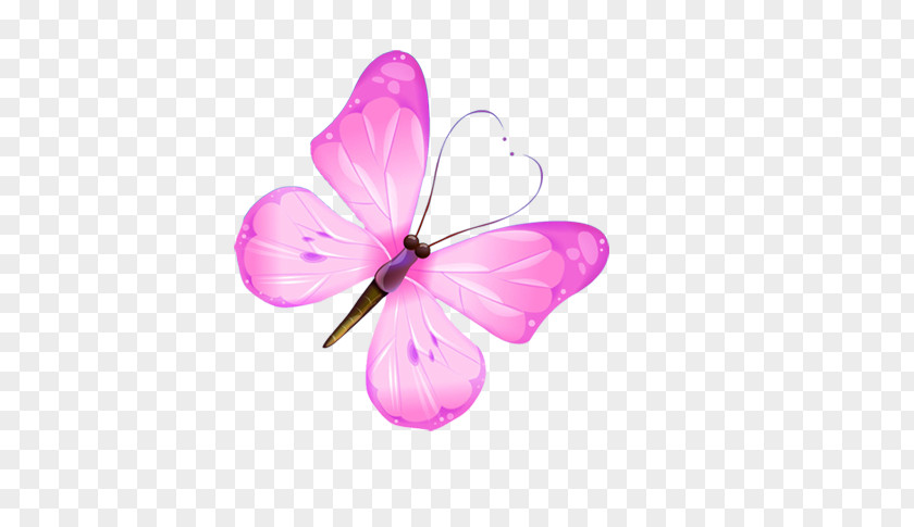 Butterfly Clip Art PNG