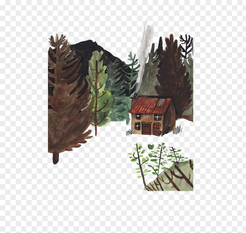 Cabin In The Woods Drawing Art Illustrator Illustration PNG