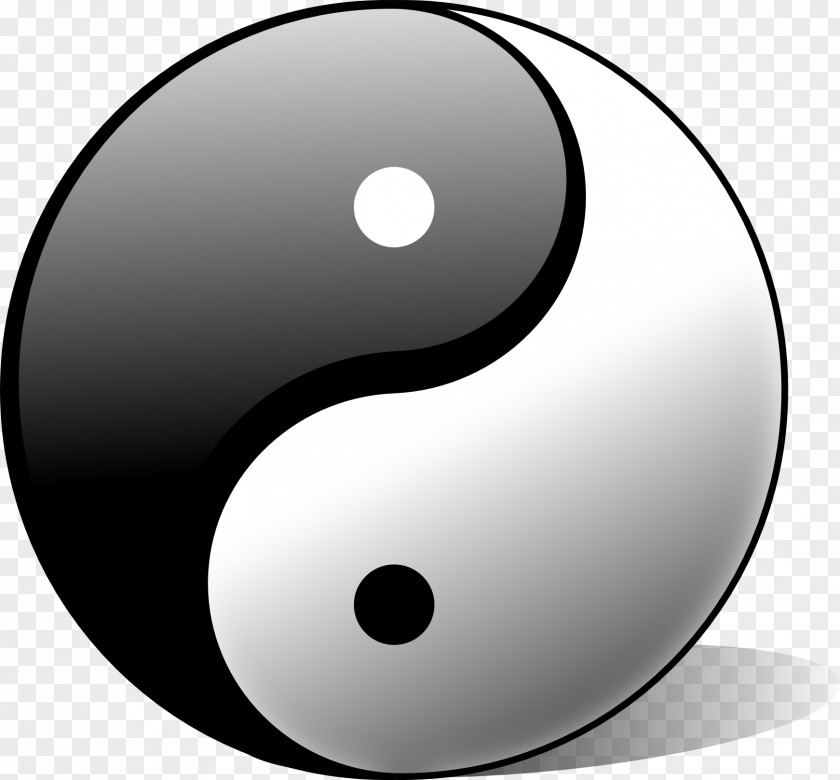 Kiwi Yin And Yang Meaning Qi Symbol Metaphysics PNG