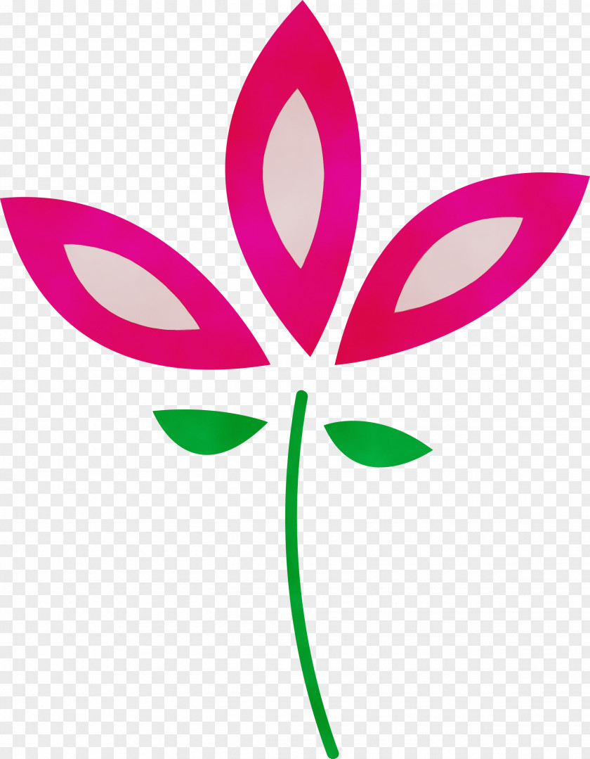 Leaf Plant Stem Flower Petal Flora PNG