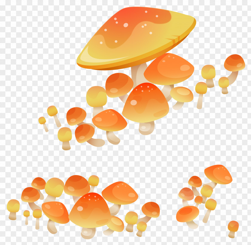 Orange Mushroom Fungus Drawing Clip Art PNG