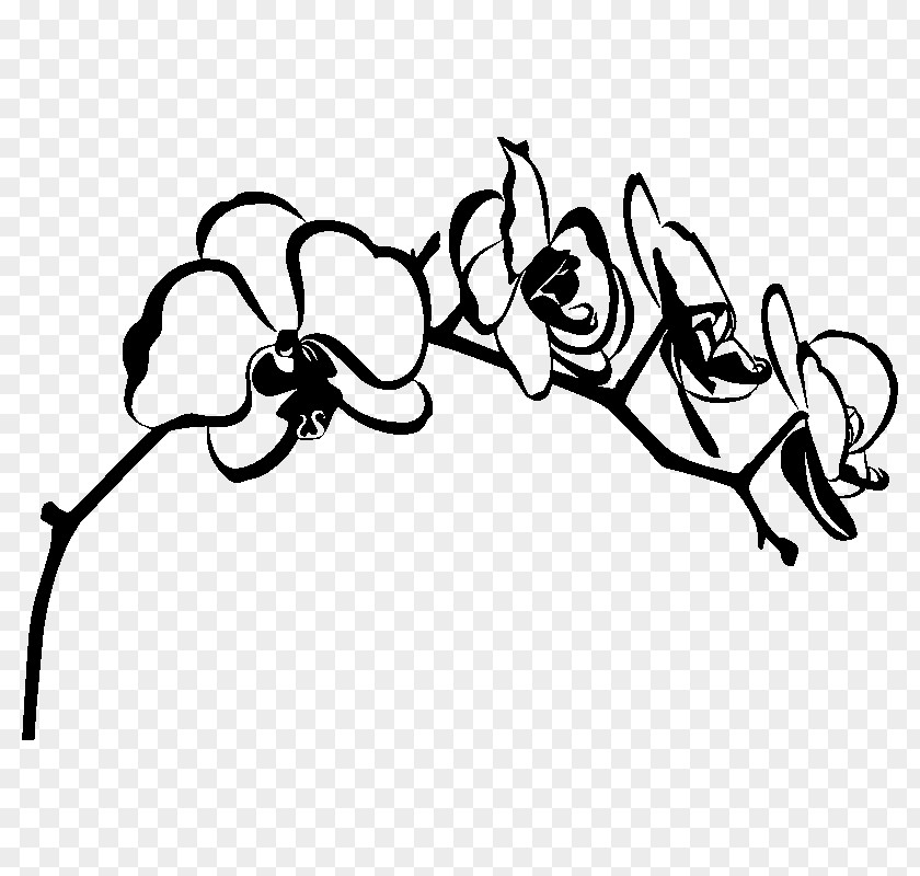 Silhouette Orchids Drawing PNG