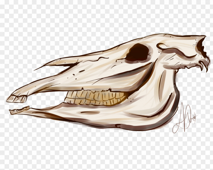 Skull Skeleton Automotive Design Car PNG