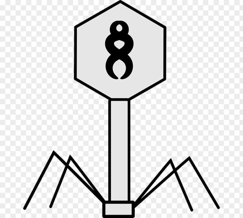 Vector Bacteriophage Lambda Phage Bacteria PNG