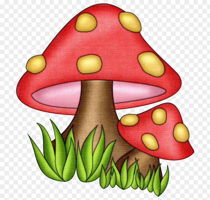 Cartoon Mushrooms Mushroom Drawing Fungus Clip Art PNG