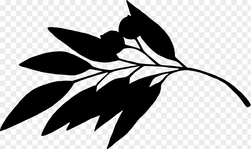 Clip Art Leaf Plant Stem Silhouette Flowering PNG