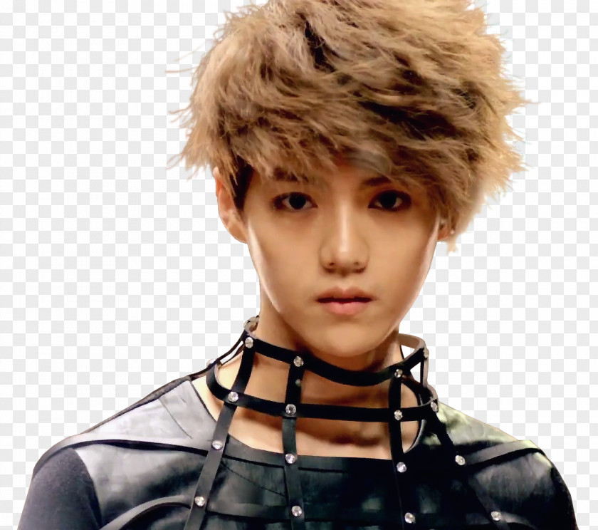 EXO EXO-M HISTORY Wolf Lu Han PNG