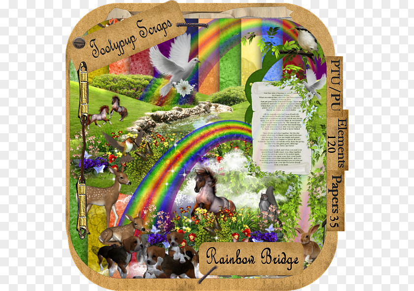 Rainbow Bridge Dog Cat Animal Loss Pet PNG