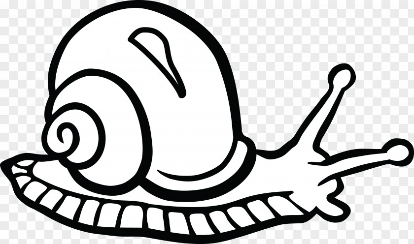 Snails Gastropods Snail Black And White Clip Art PNG