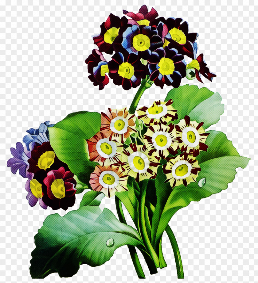 Floral Design PNG