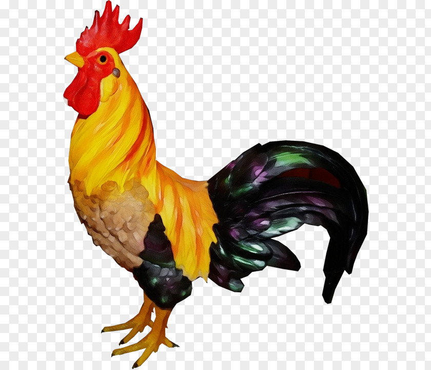 Rooster Image Ring-necked Pheasant Leghorn Chicken PNG