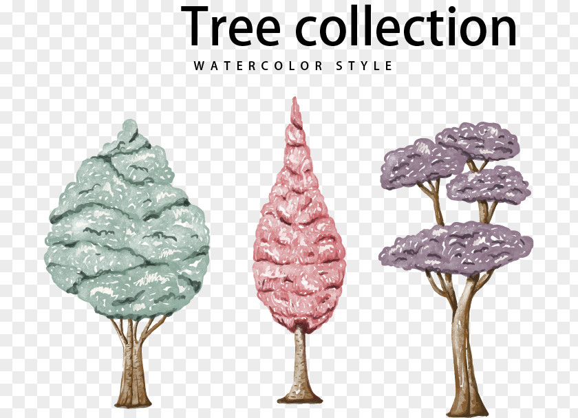 Drawing Trees Tree Euclidean Vector PNG