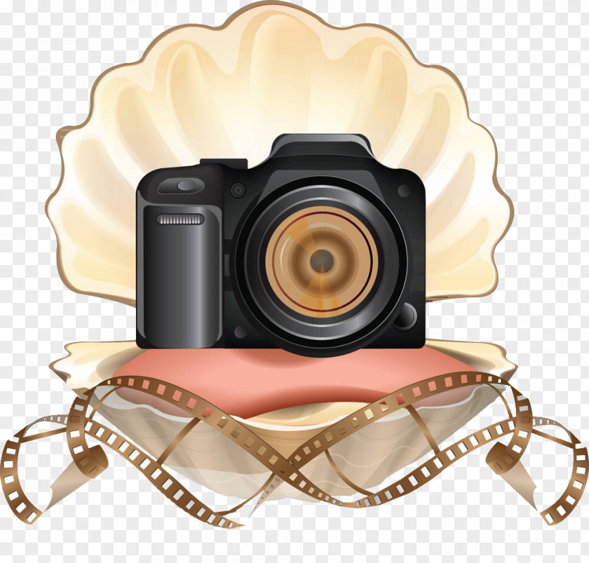 Fashion Illustration Camera Focus Photography PNG