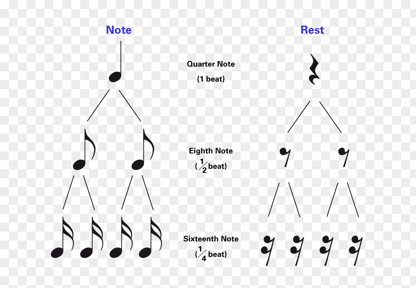 Hand Lesson Rest Percussion Notation Drums Sixteenth Note Quarter PNG