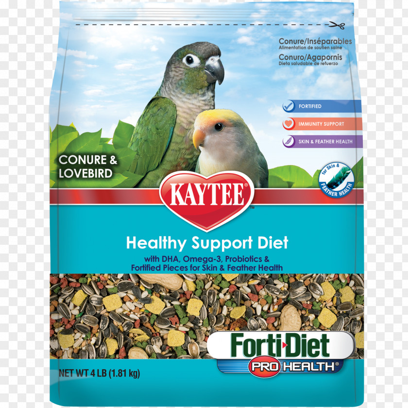 Parrot Lovebird Bird Food Cockatiel PNG
