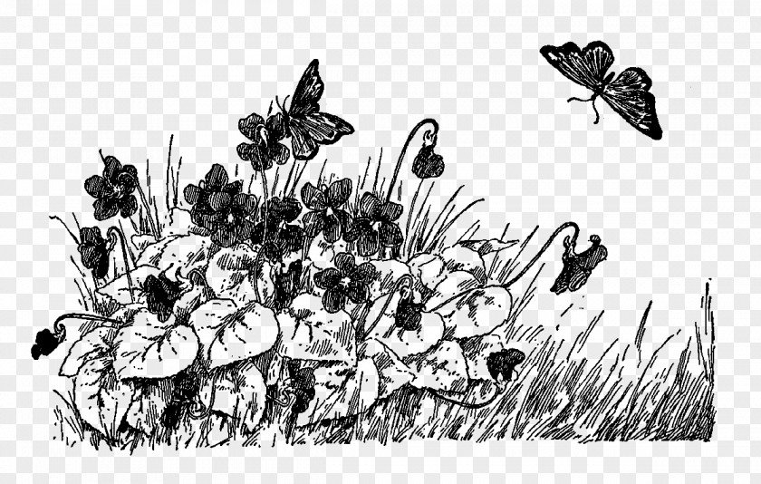 Wild Flower Drawing Art Black And White PNG
