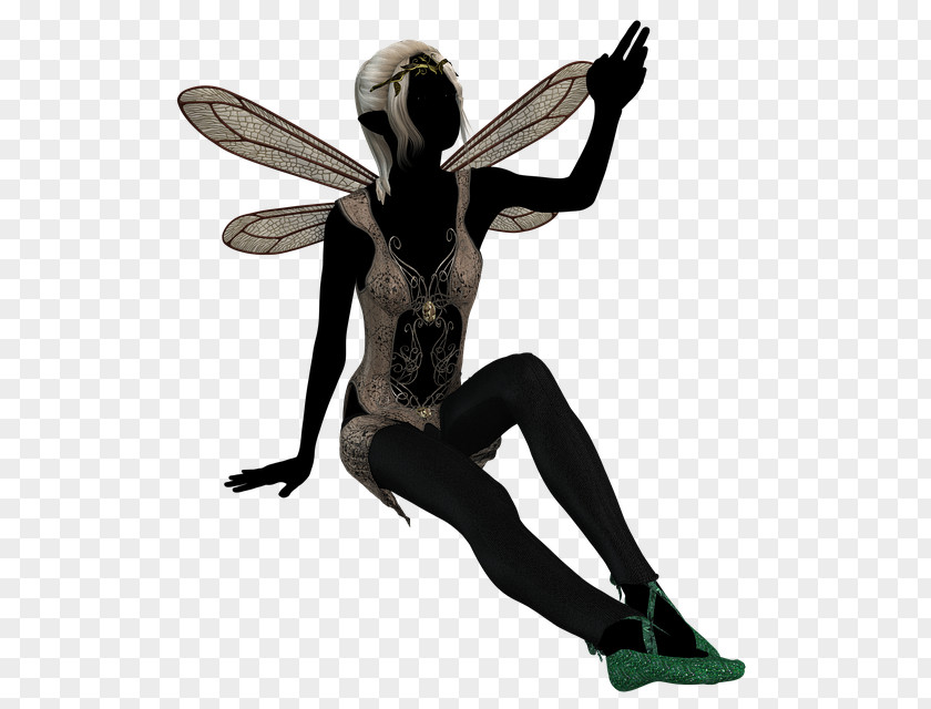 Wing Membranewinged Insect Elf Cartoon PNG