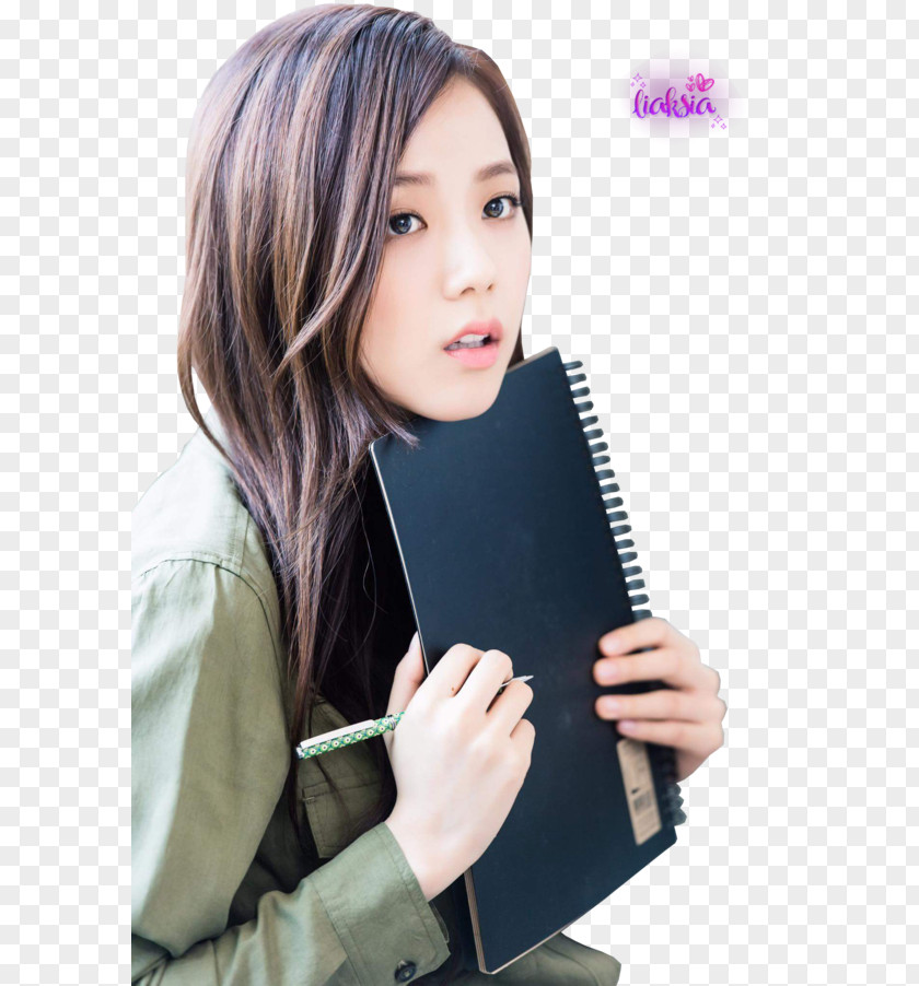 Actor Jisoo BLACKPINK South Korea YG Entertainment PNG