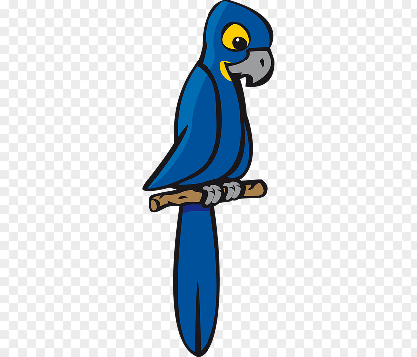 Arched Pennant Parrot Bird Hyacinth Macaw Clip Art PNG