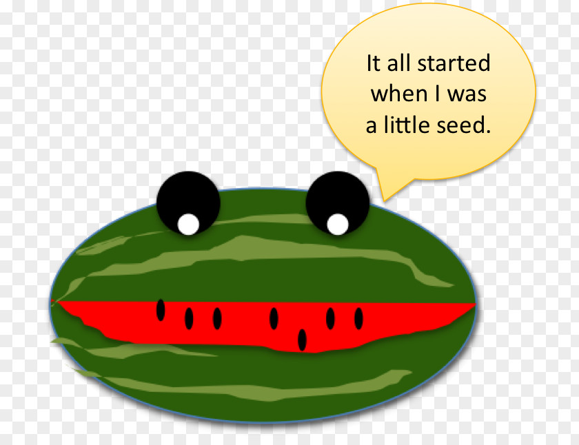 Frog Watermelon Green PNG