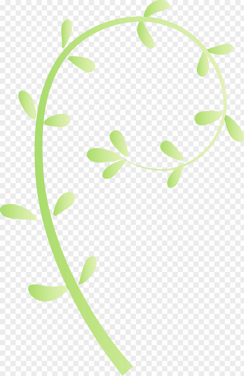 Green Leaf Plant Flower Pedicel PNG