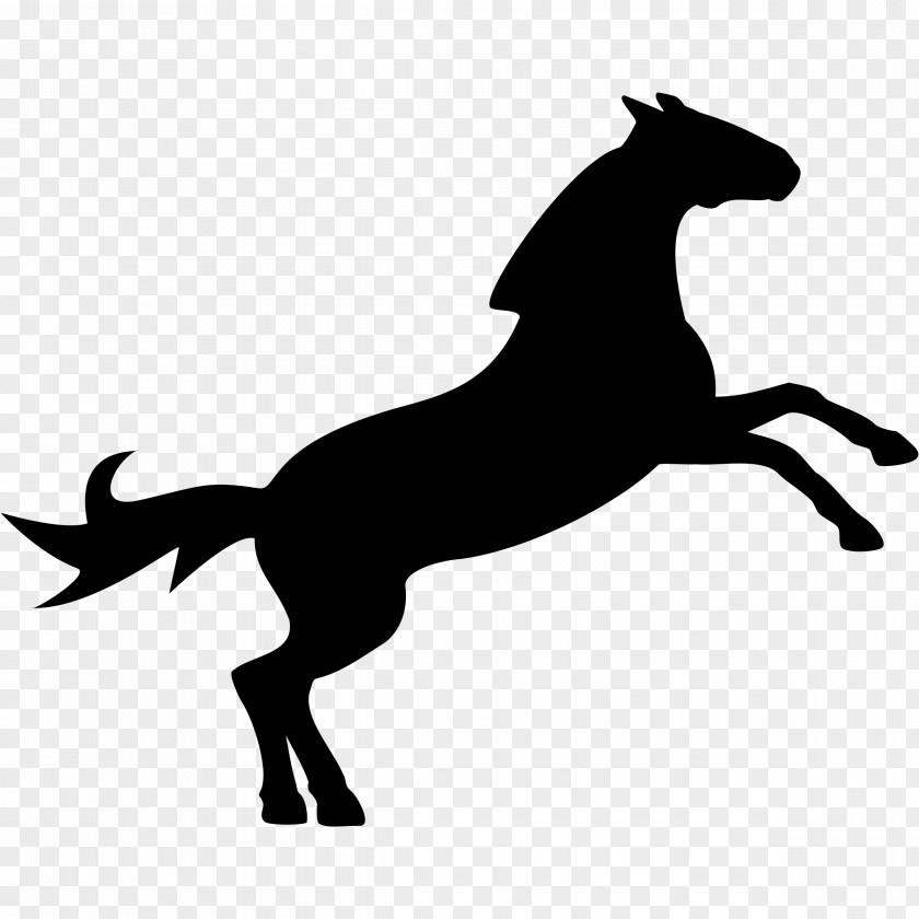 Horses Clipart Horse Show Jumping Equestrian Clip Art PNG