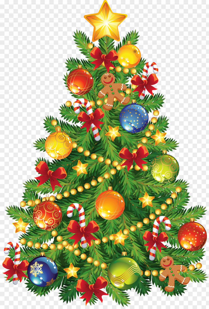 Large Transparent Christmas Tree With Gingerbread Ornament Clipart Clip Art PNG