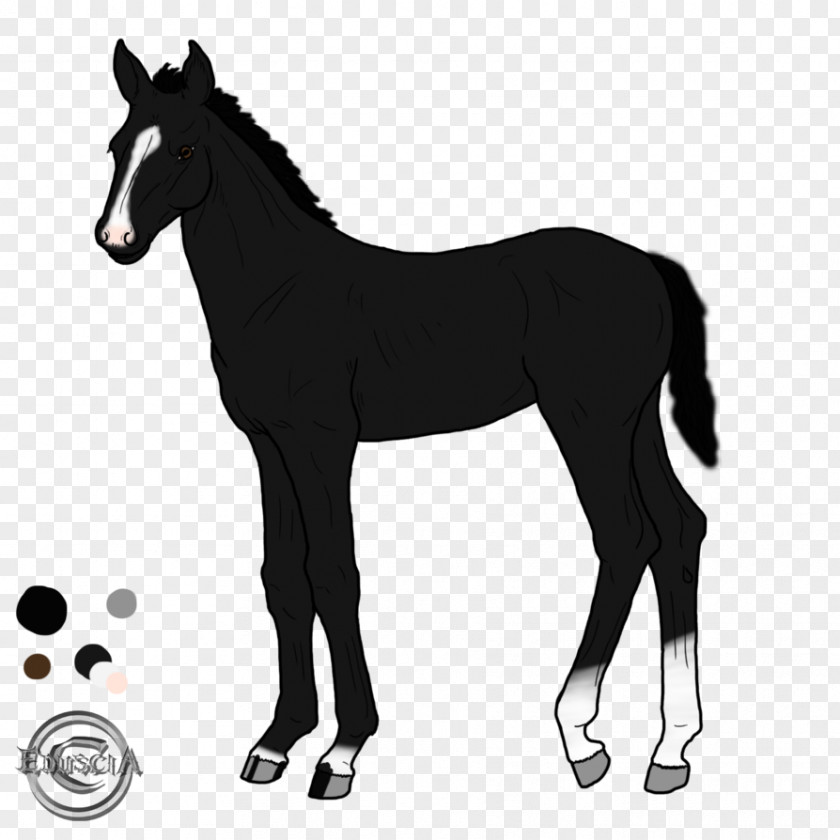 Light Shadow Mustang Foal Pony Stallion PNG