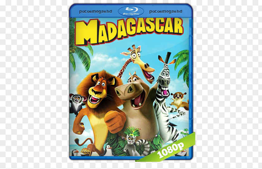 Madagascar Marty Alex Animated Film Series PNG