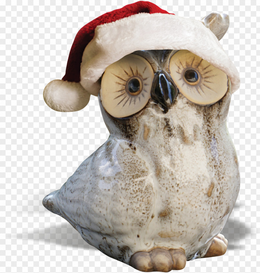 Owl Hat Bird Sculpture PNG