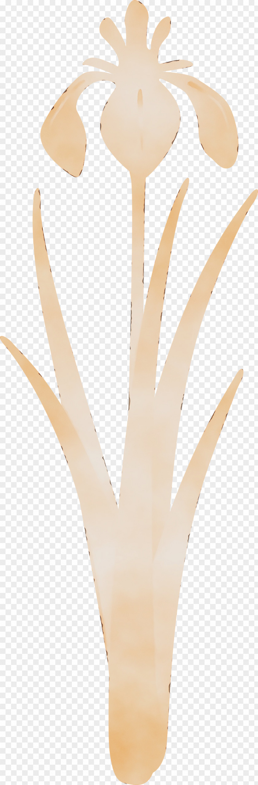 Plant PNG