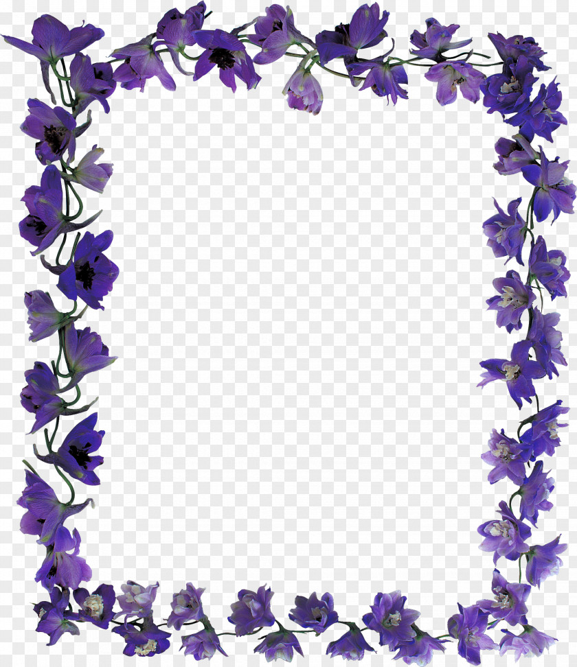 Purple Picture Frames Raster Graphics Clip Art PNG