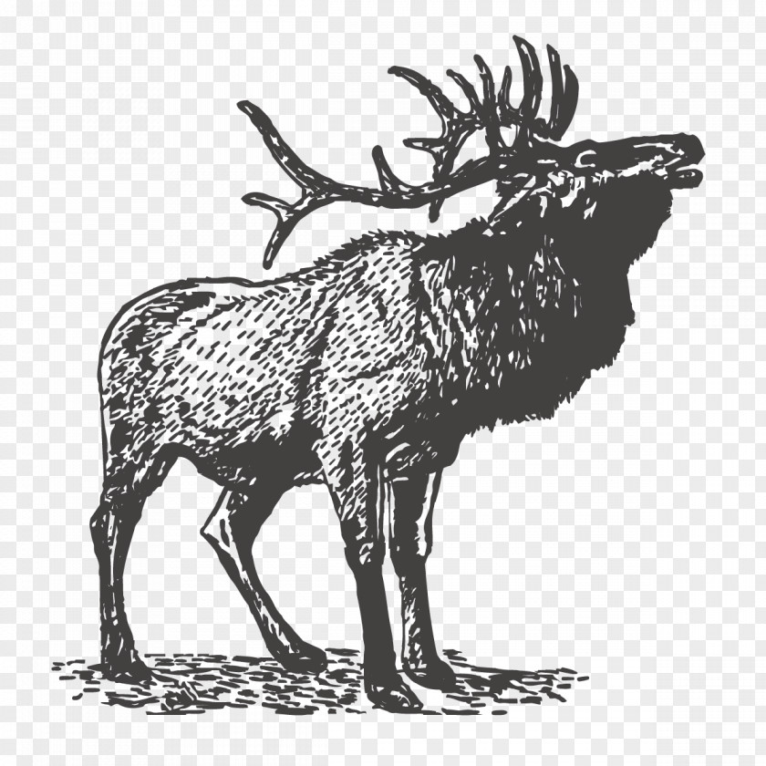 Vector Painted Deer Grand Teton National Park Logo Decal Poster PNG