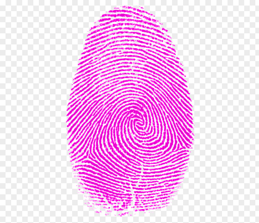 Arrange Illustration Fingerprint The Origin Of Finger-printing Thumb Fibonacci Number PNG