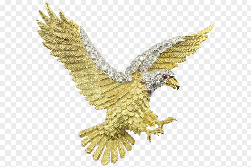 Eagle Bald Jewellery Gold Brooch PNG