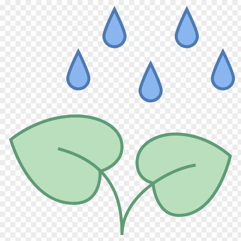 Leaf Plant Seed Clip Art PNG