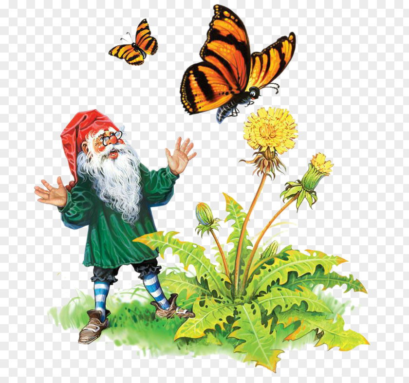 Red Hat Elderly Flowers And Butterflies Dwarf Elf Gnome Illustration PNG